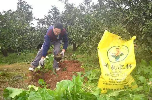 綠色發(fā)展之路 以有機(jī)肥替代化肥農(nóng)藥的生態(tài)實(shí)踐