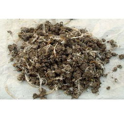 石家莊強農天然雞糞生物有機肥 打造優質農作物新標桿